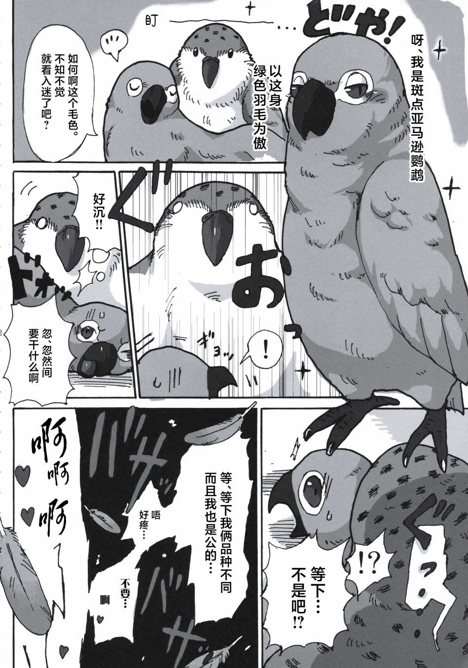 Forbidden Bird Boy Love Paradice Reguined 第23页