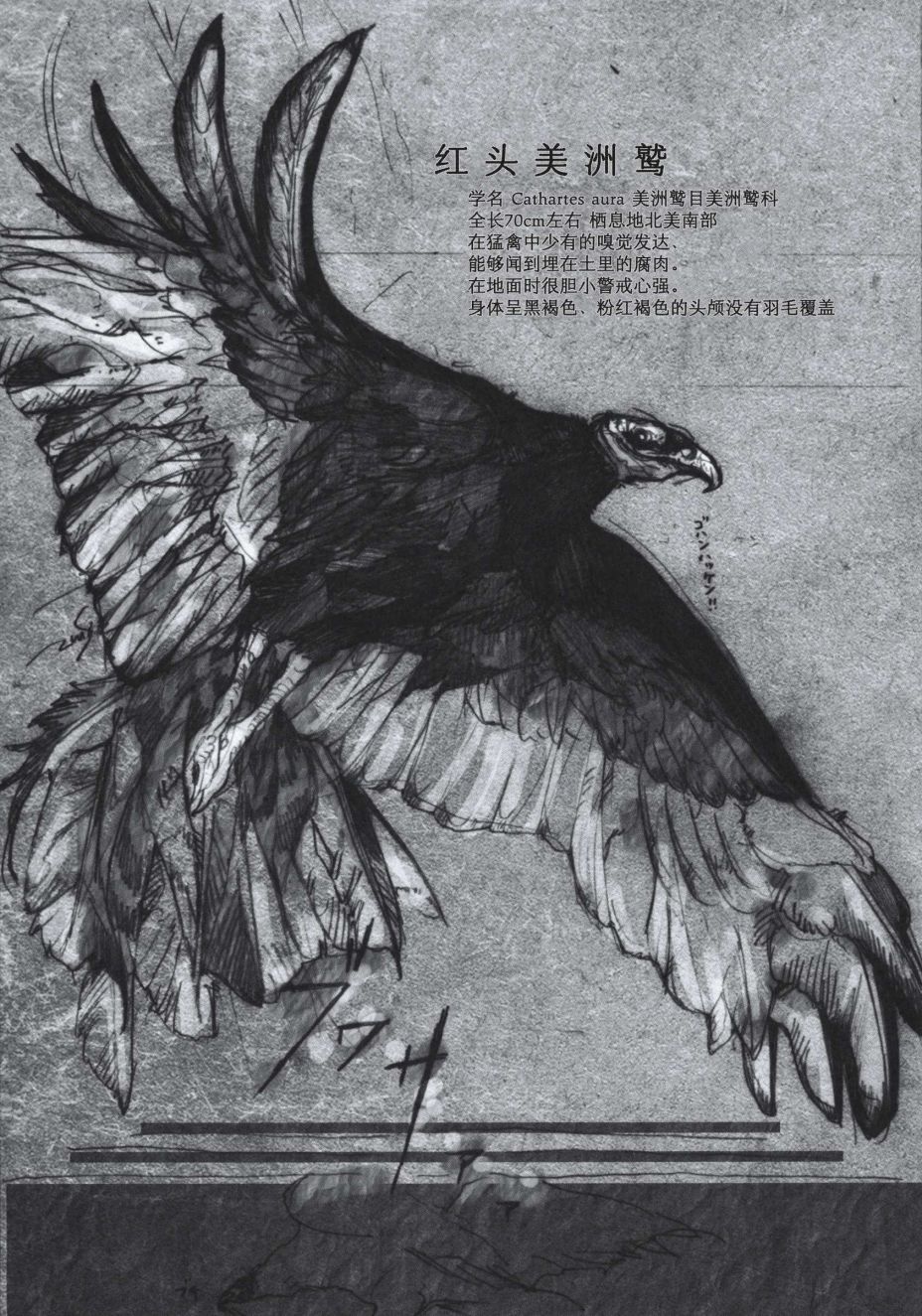 Forbidden Bird Boy Love Paradice Reguined 第77页