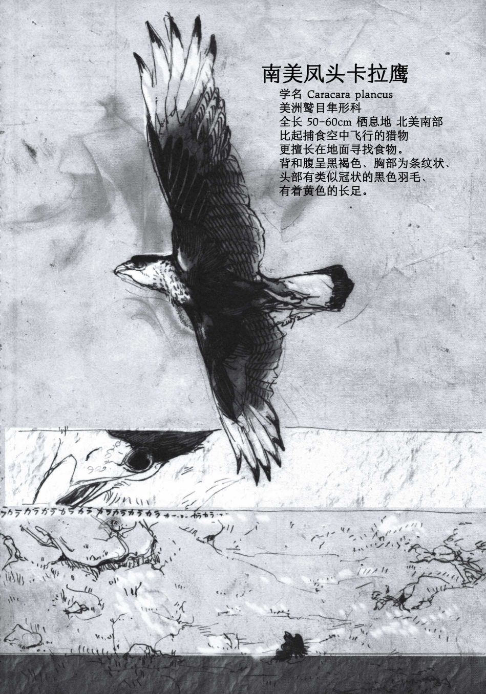 Forbidden Bird Boy Love Paradice Reguined 第80页