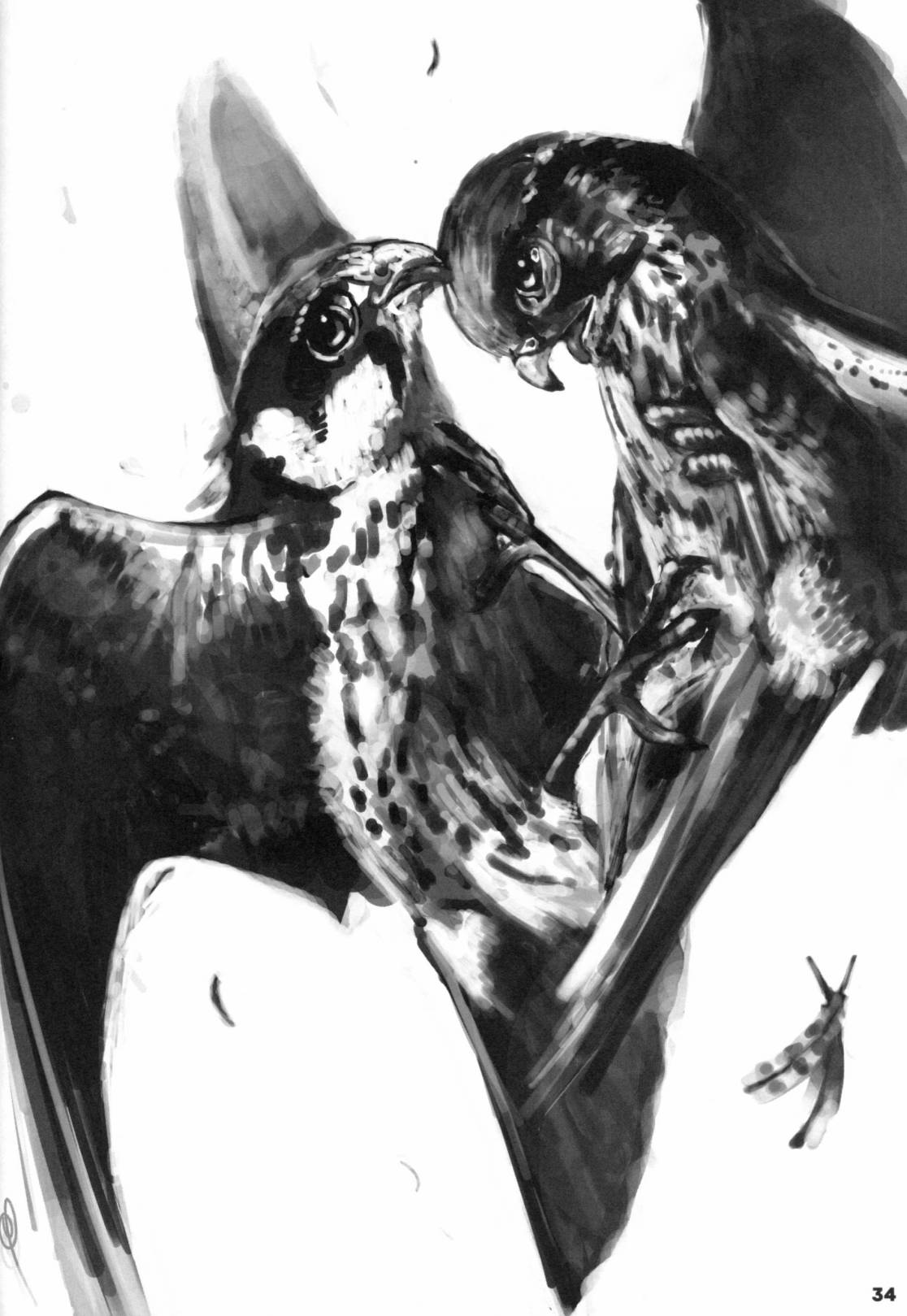 Forbidden Bird Boy Love Eden 第34页