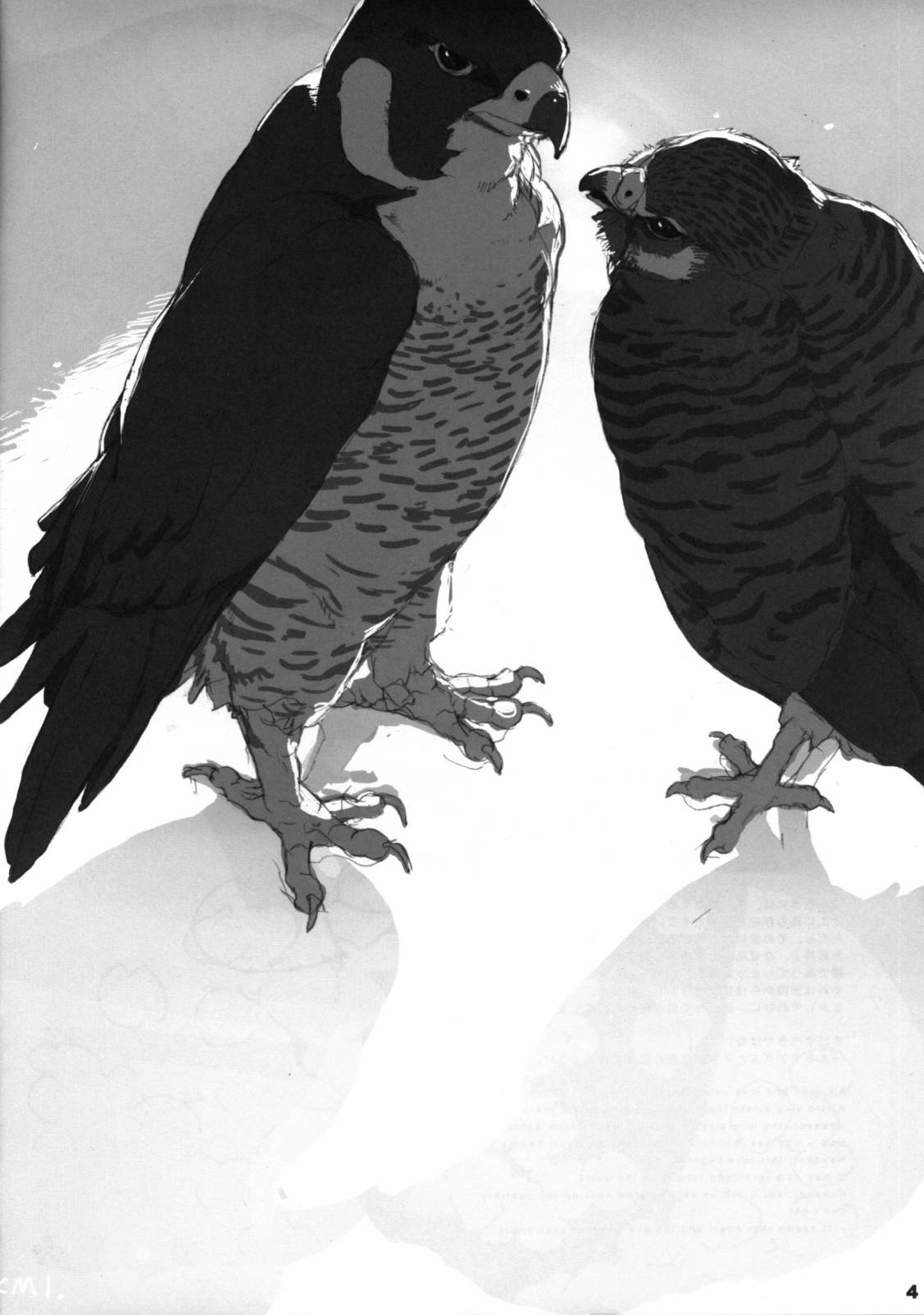 Forbidden Bird Boy Love Eden 第5页