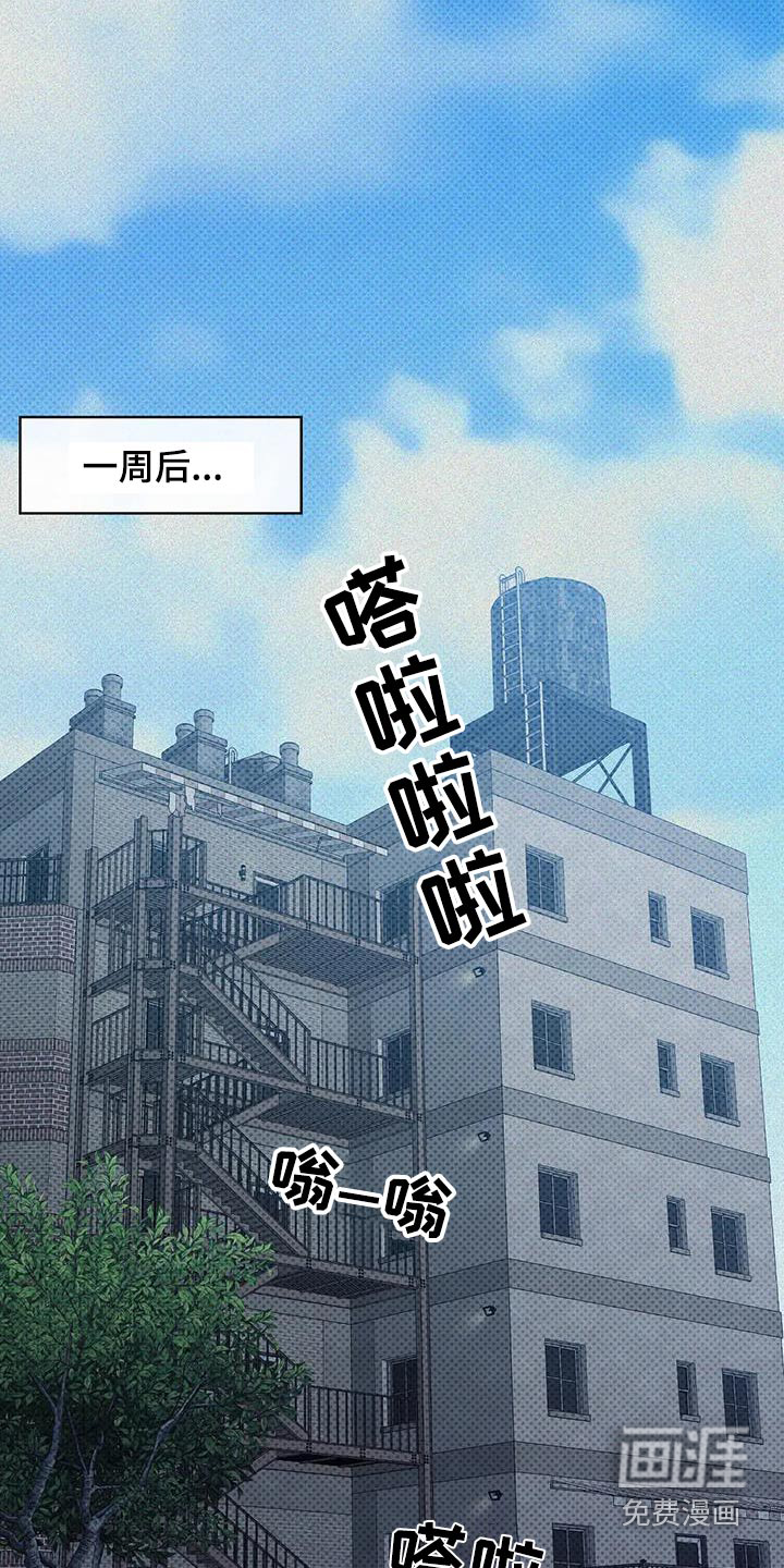 盘根错节 第31话 第24页