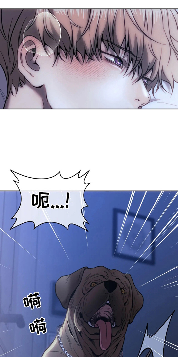 坏苹果 第1话 第13页