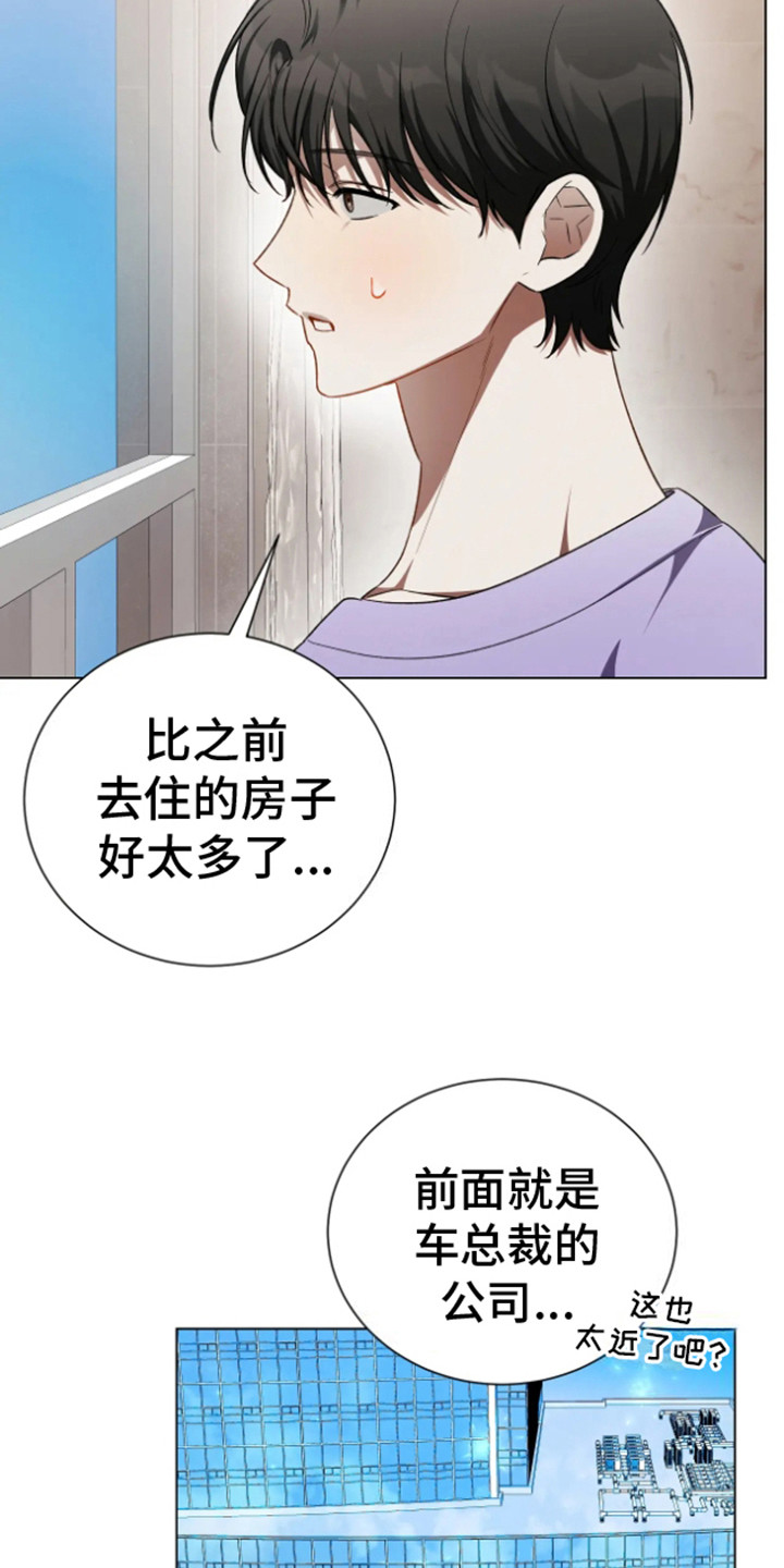 坏苹果 第33话 第12页