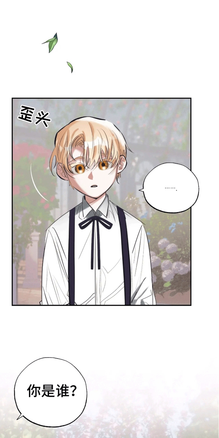 坏苹果 第40话 第12页