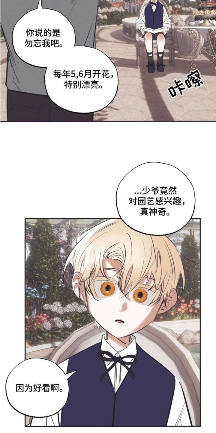 坏苹果 第41话 第11页