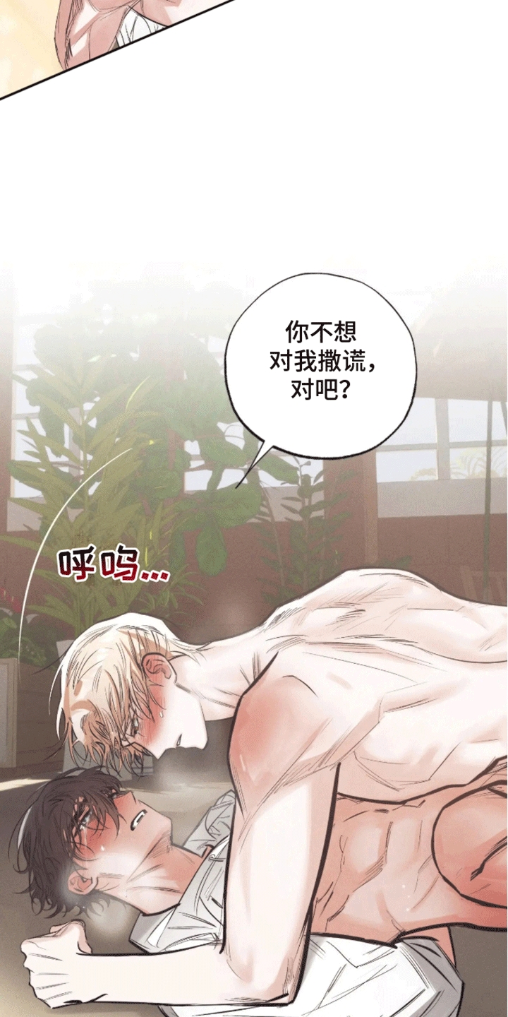 坏苹果 第43话 第17页
