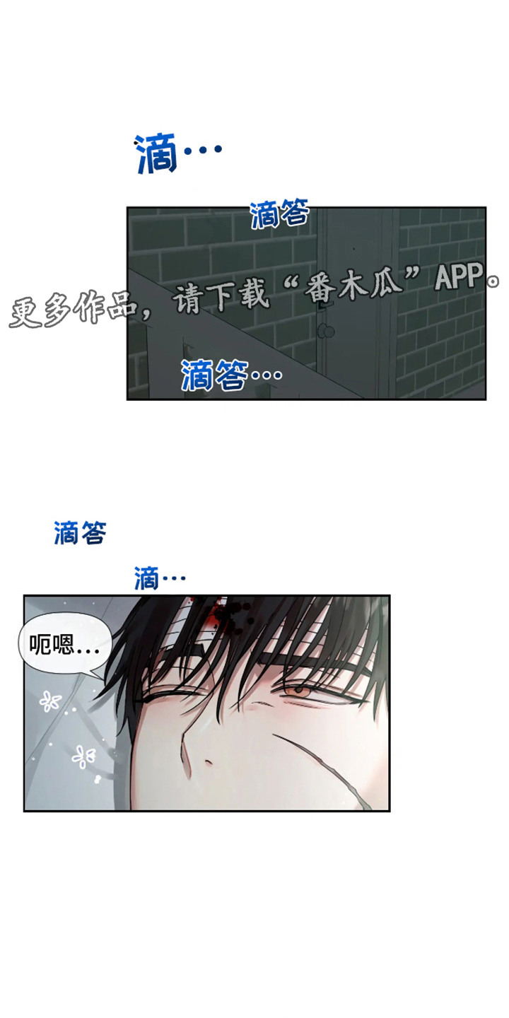 坏苹果 第57话 第5页