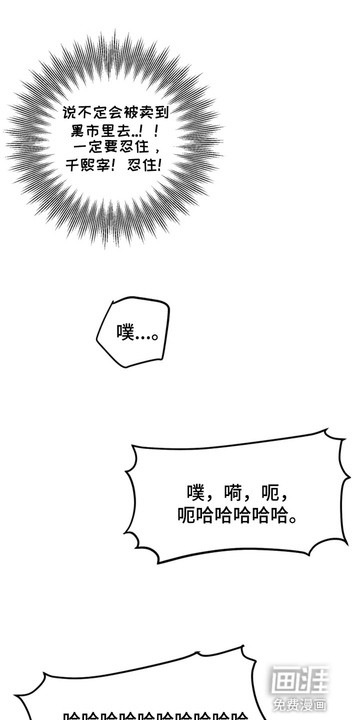 从天而降的伙伴 第5话 第13页