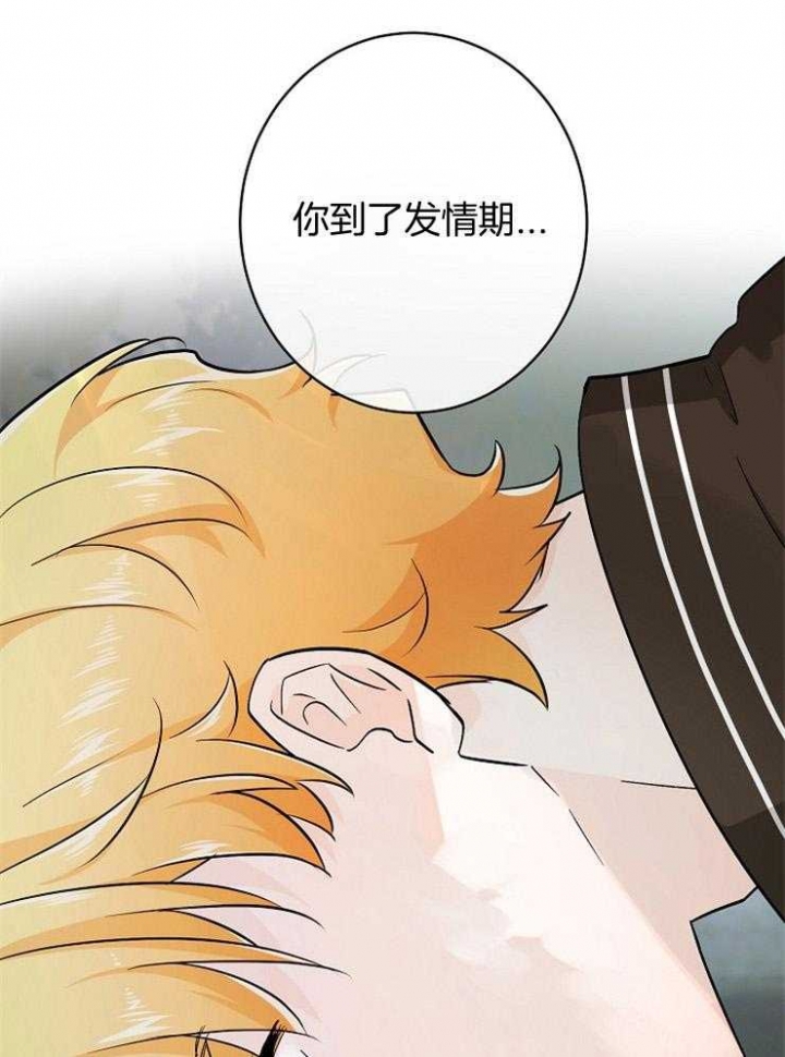 遵守秘密 第67话 第17页