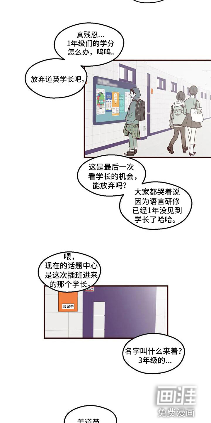 我的十二位哥哥 第4话 第12页