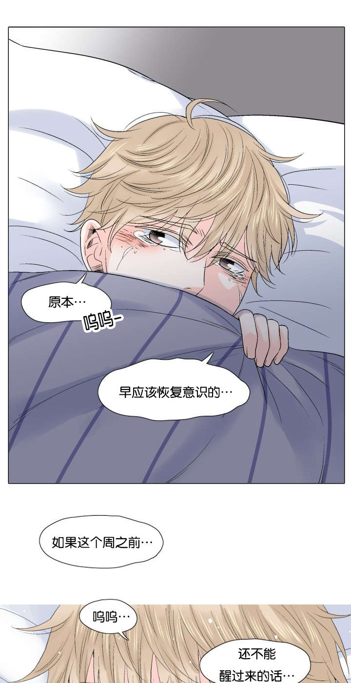 愿爱降临 第50话 第7页