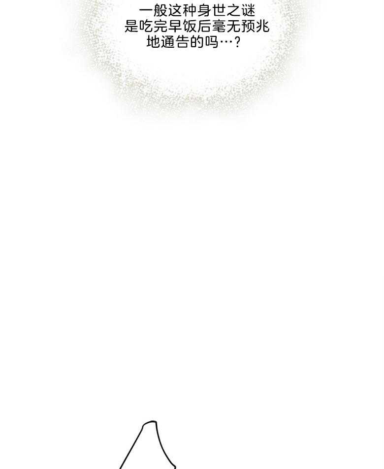 被男主领养了 第31话 生母 第4页