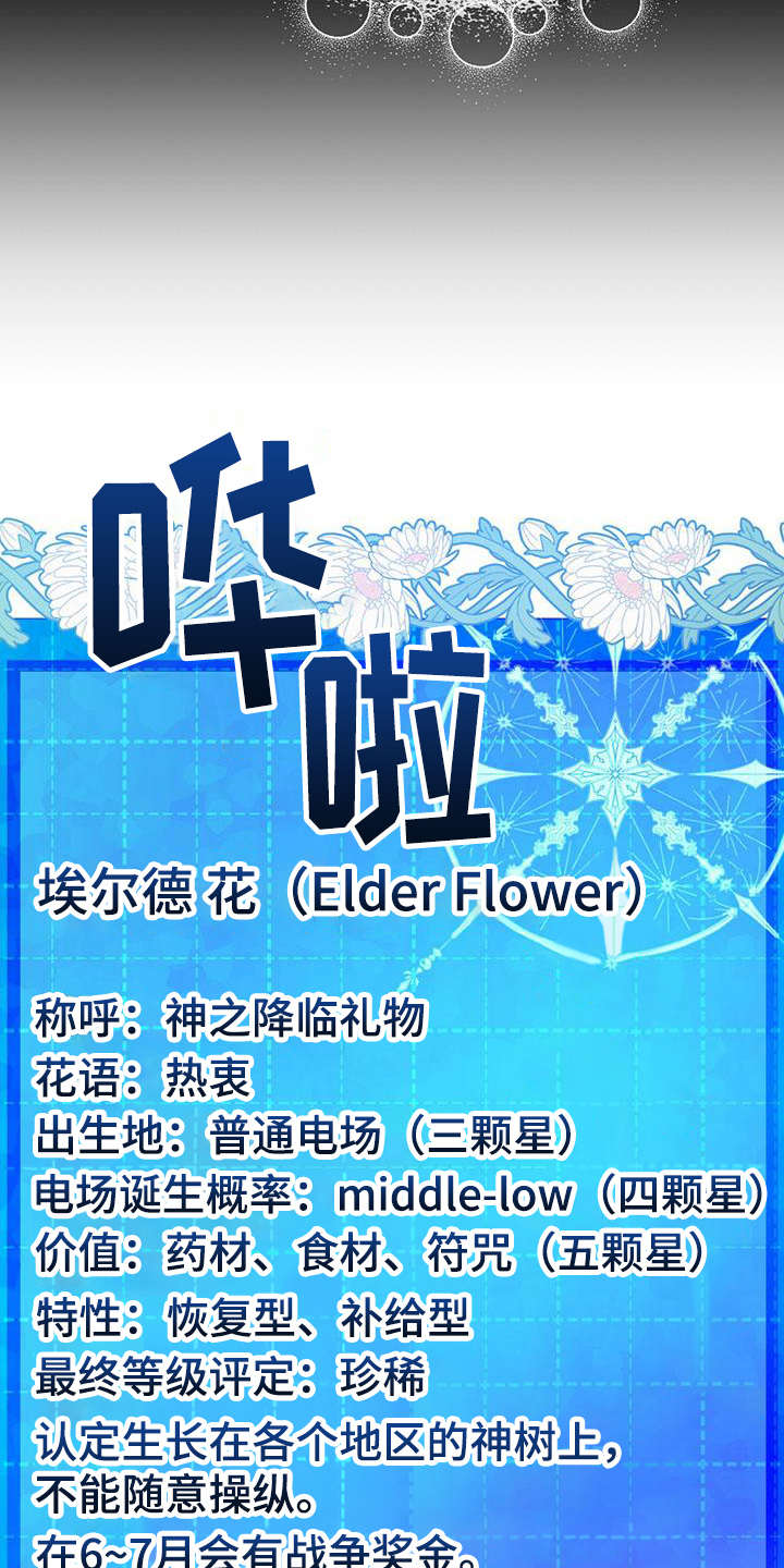 无限钻石 第16章：珍稀 第12页
