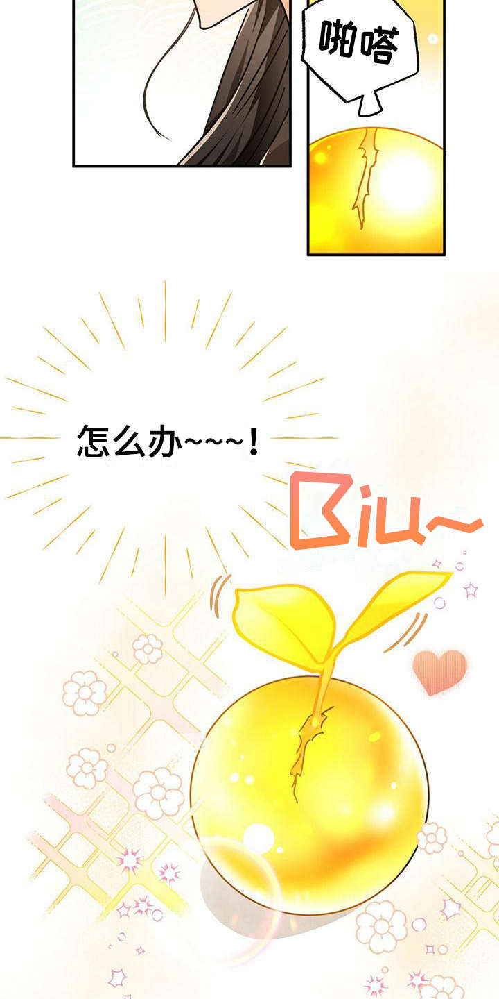 无限钻石 第16章：珍稀 第6页