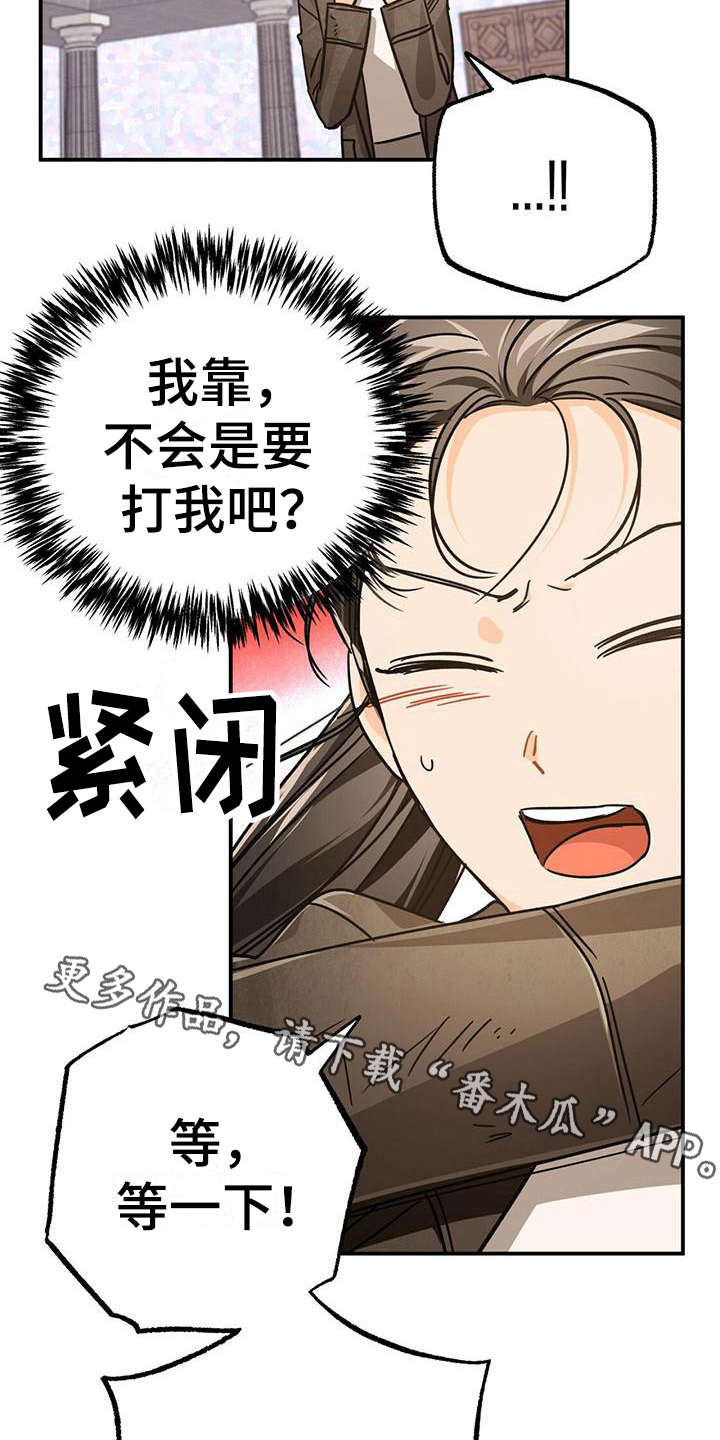无限钻石 第22章：骑士 第13页