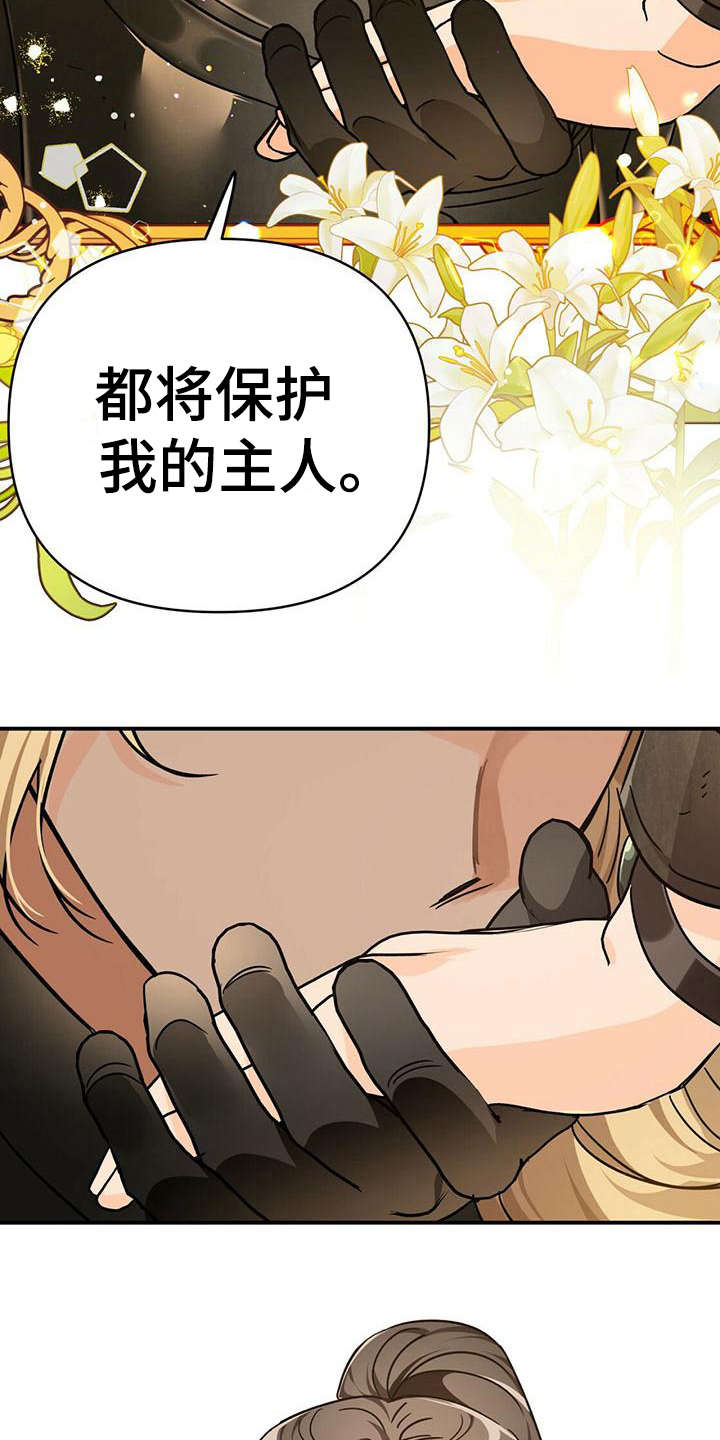无限钻石 第22章：骑士 第20页