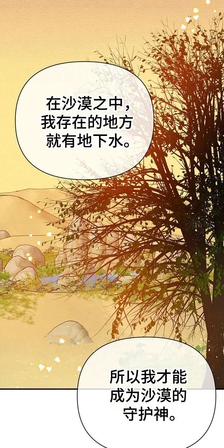 无限钻石 第25章：本体 第22页