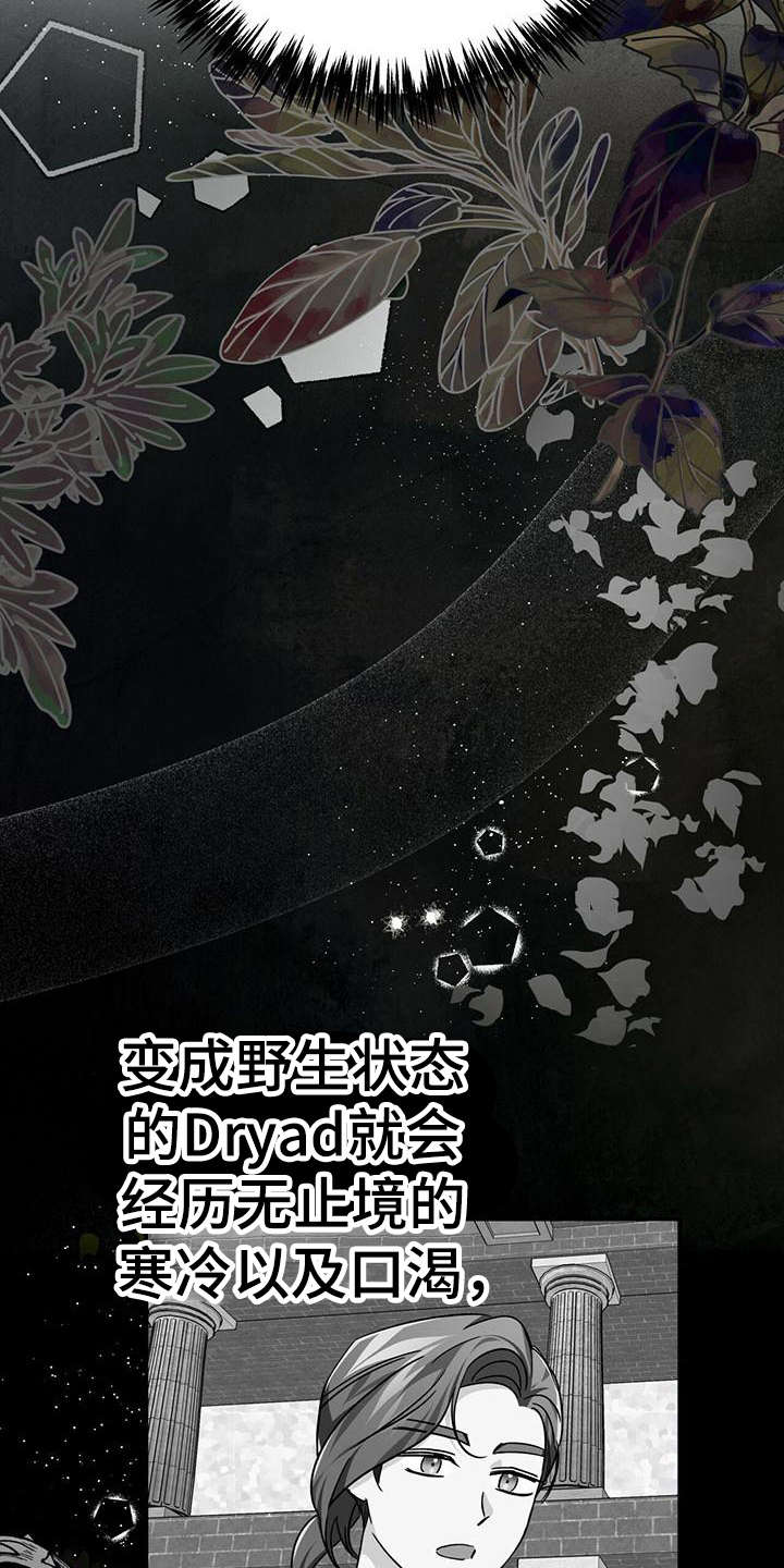 无限钻石 第27章：愤怒 第8页