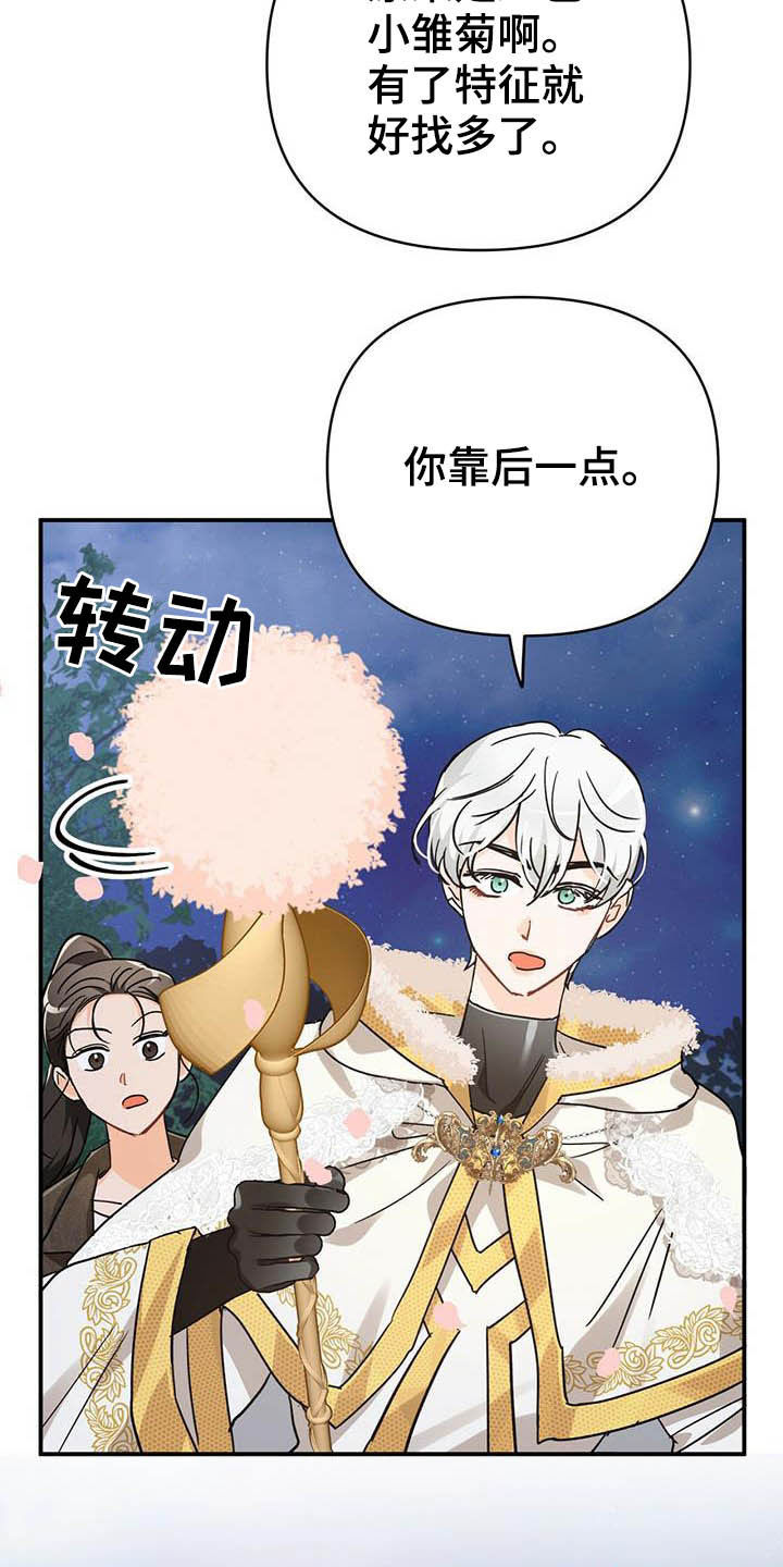 无限钻石 第29章：寻找小雏菊 第15页