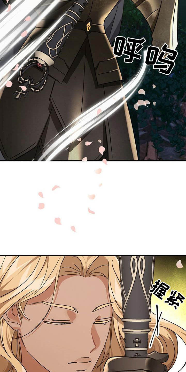 无限钻石 第29章：寻找小雏菊 第17页
