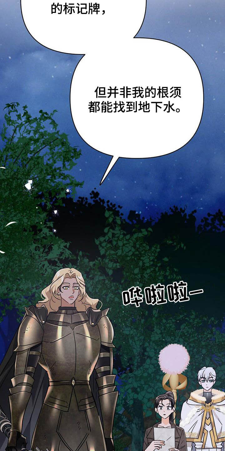 无限钻石 第29章：寻找小雏菊 第6页