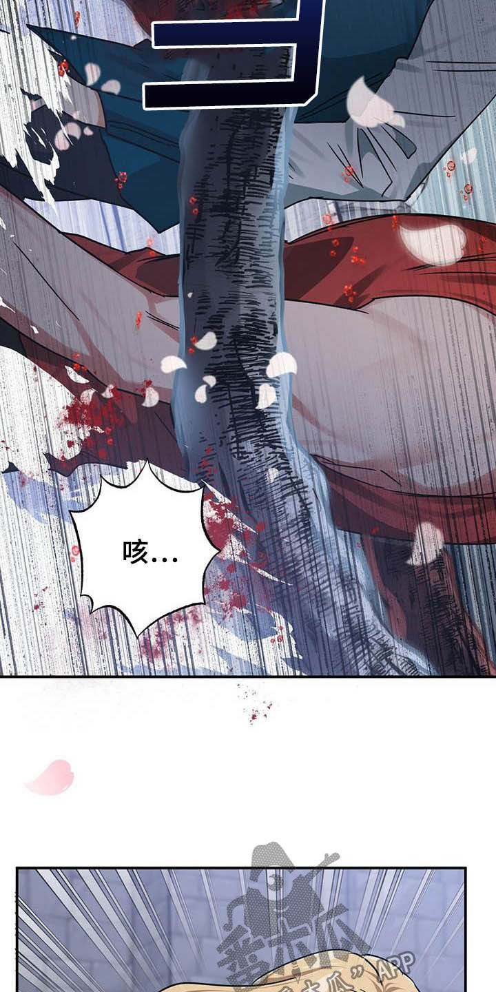 无限钻石 第32章：舍身相救 第29页
