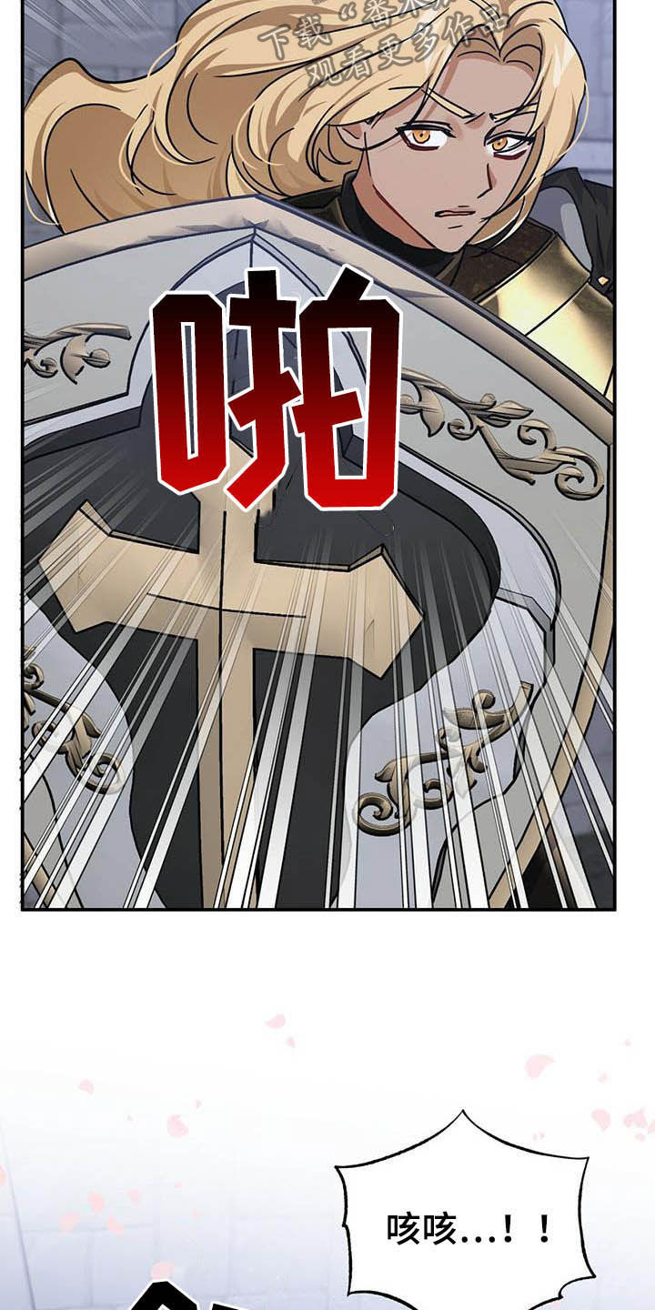 无限钻石 第32章：舍身相救 第30页