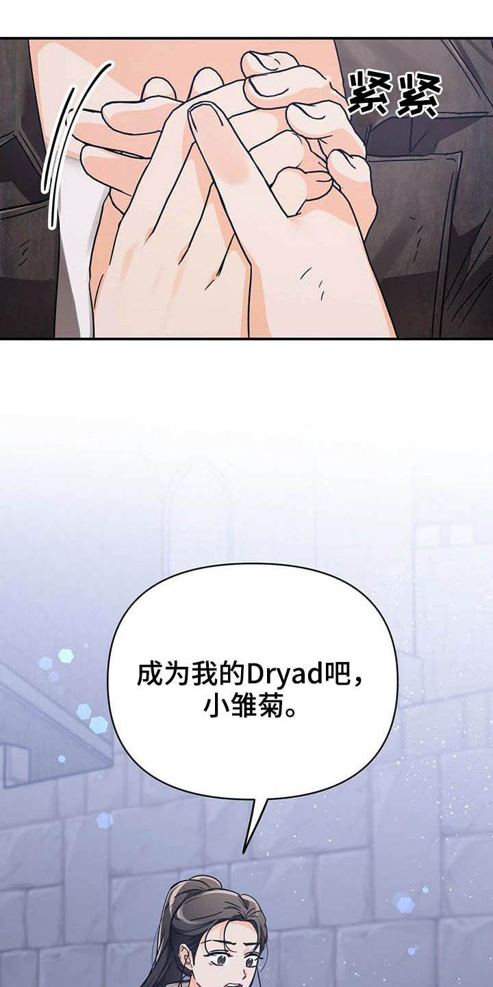 无限钻石 第32章：舍身相救 第5页