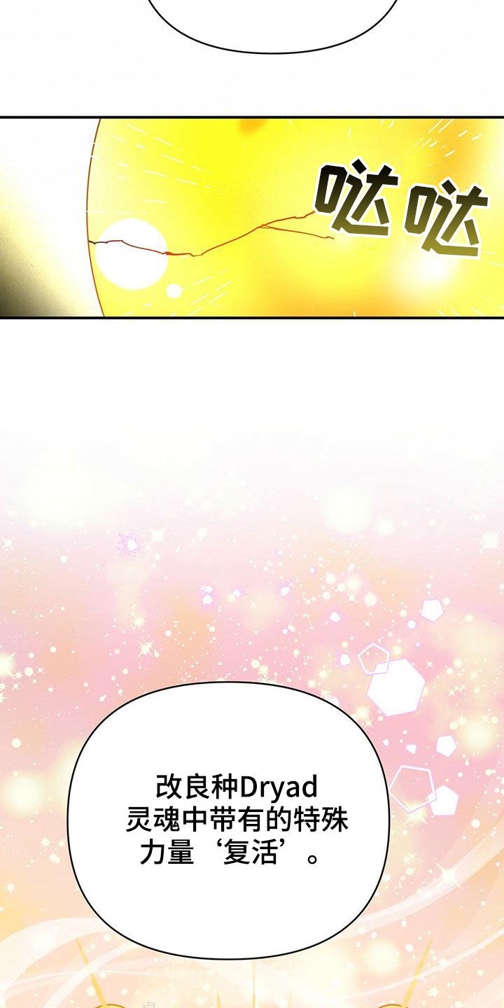 无限钻石 第34章：希望 第12页