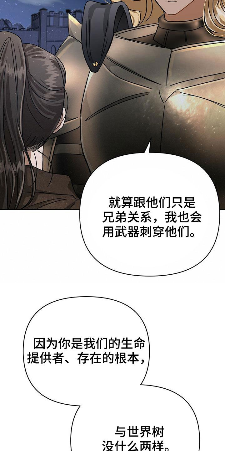 无限钻石 第34章：希望 第31页