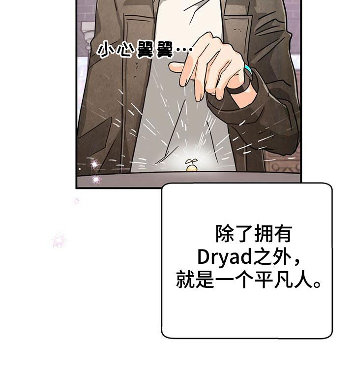 无限钻石 第35章：温室 第12页