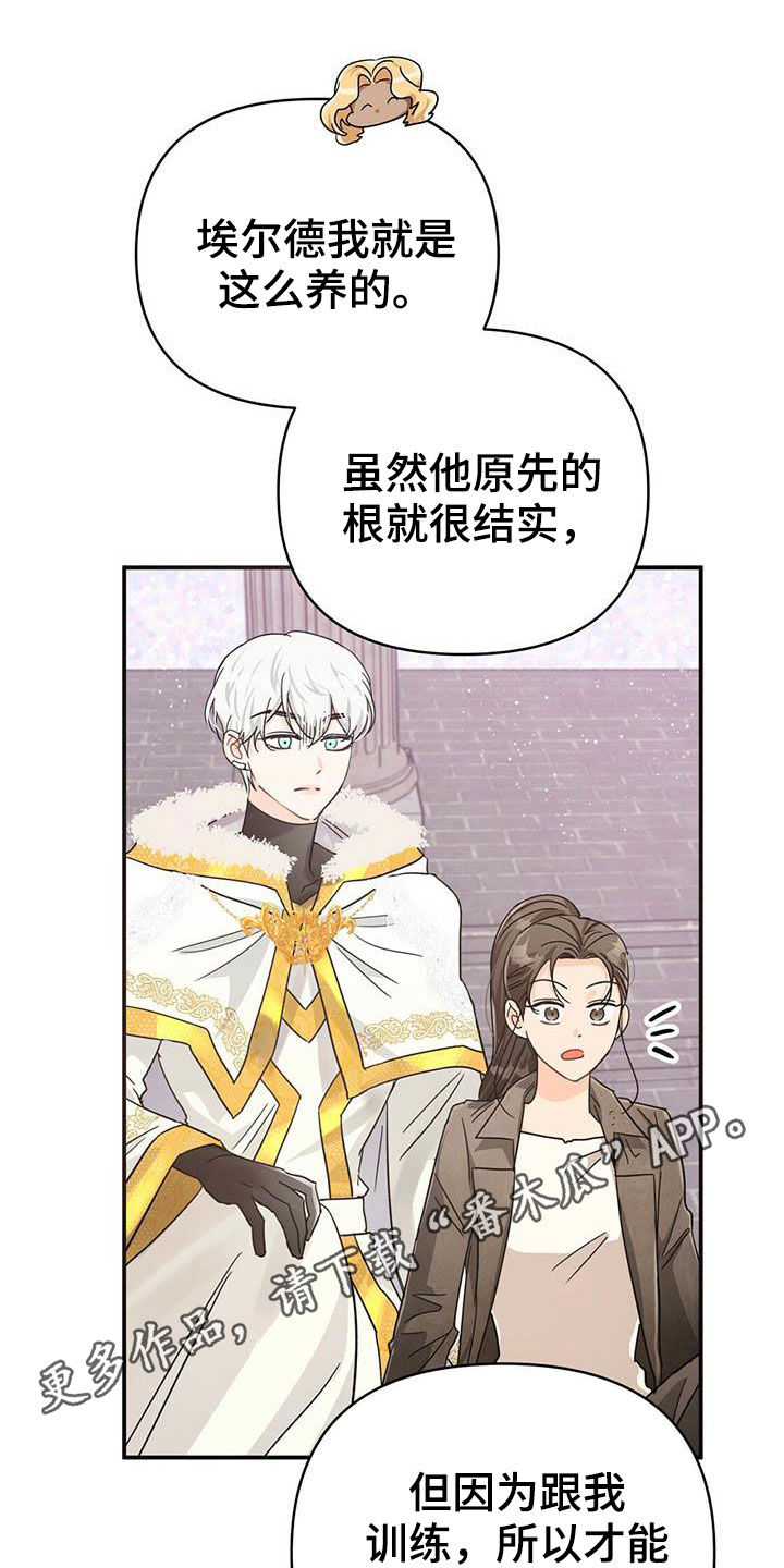 无限钻石 第38章：收购果实 第1页