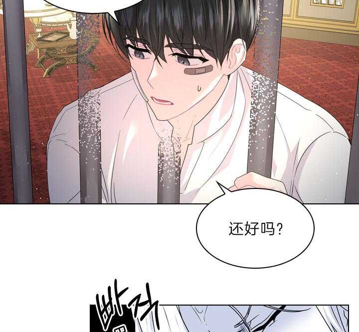 殿下的撩夫日常 第103话_最幸福的人 第21页