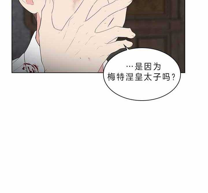 殿下的撩夫日常 第75话_拒绝心意 第13页
