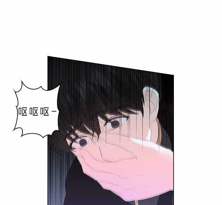 殿下的撩夫日常 第74话_有话对你说 第37页