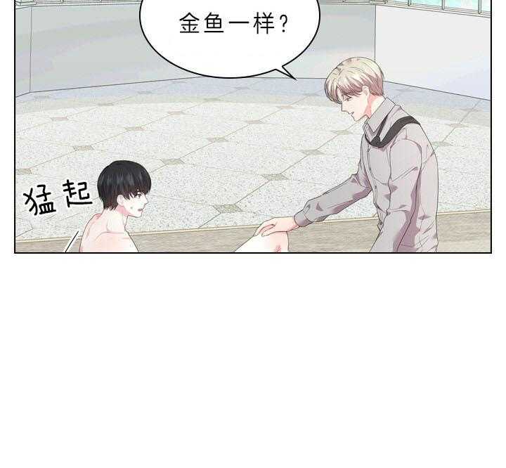 殿下的撩夫日常 第50话_像只金鱼 第5页