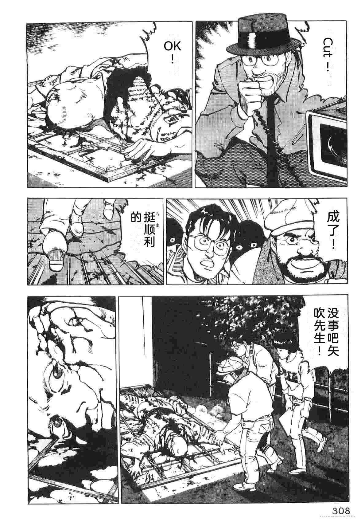 演员 第6卷 第316页