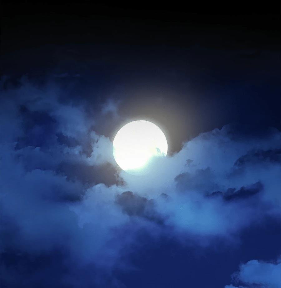 异世界领主的美食飨宴 第10话 第66页