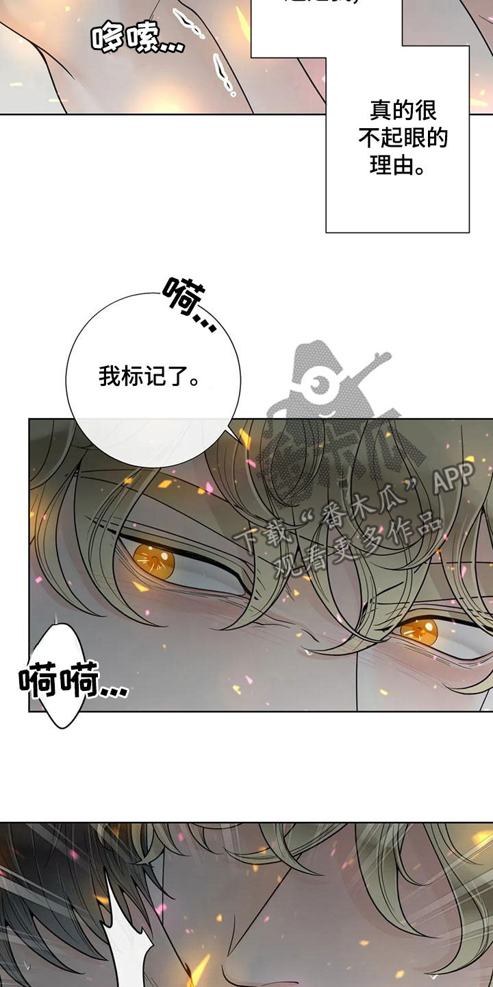 阿尔法伴侣 第144话 第14页