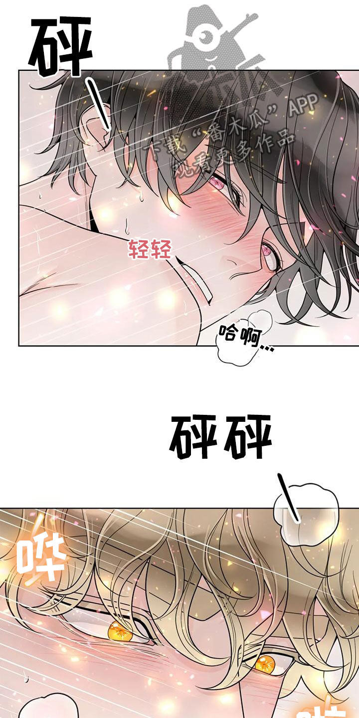 阿尔法伴侣 第142话 第17页