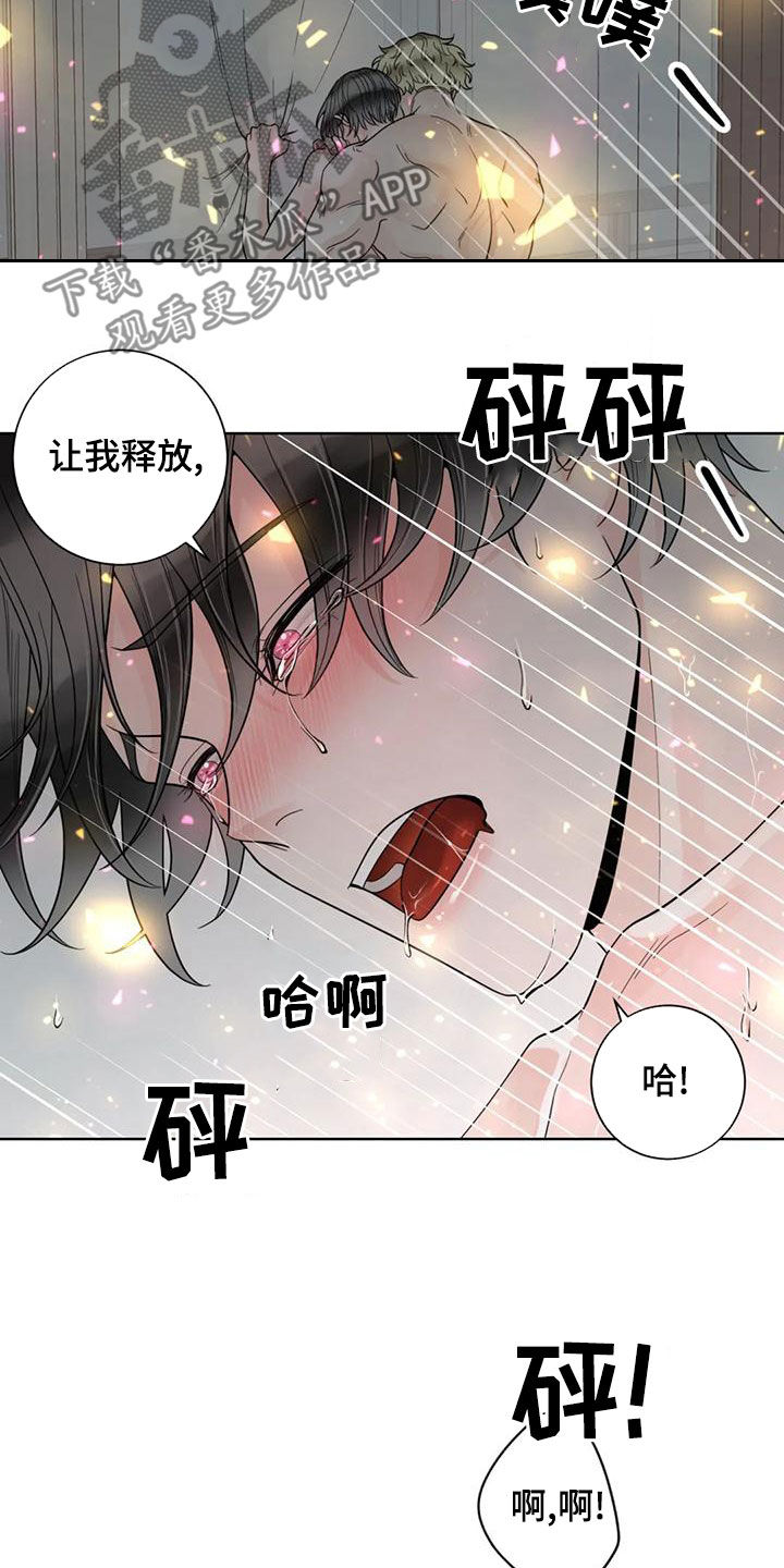 阿尔法伴侣 第142话 第19页