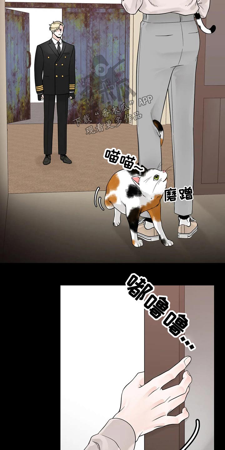 阿尔法伴侣 第125话 第16页