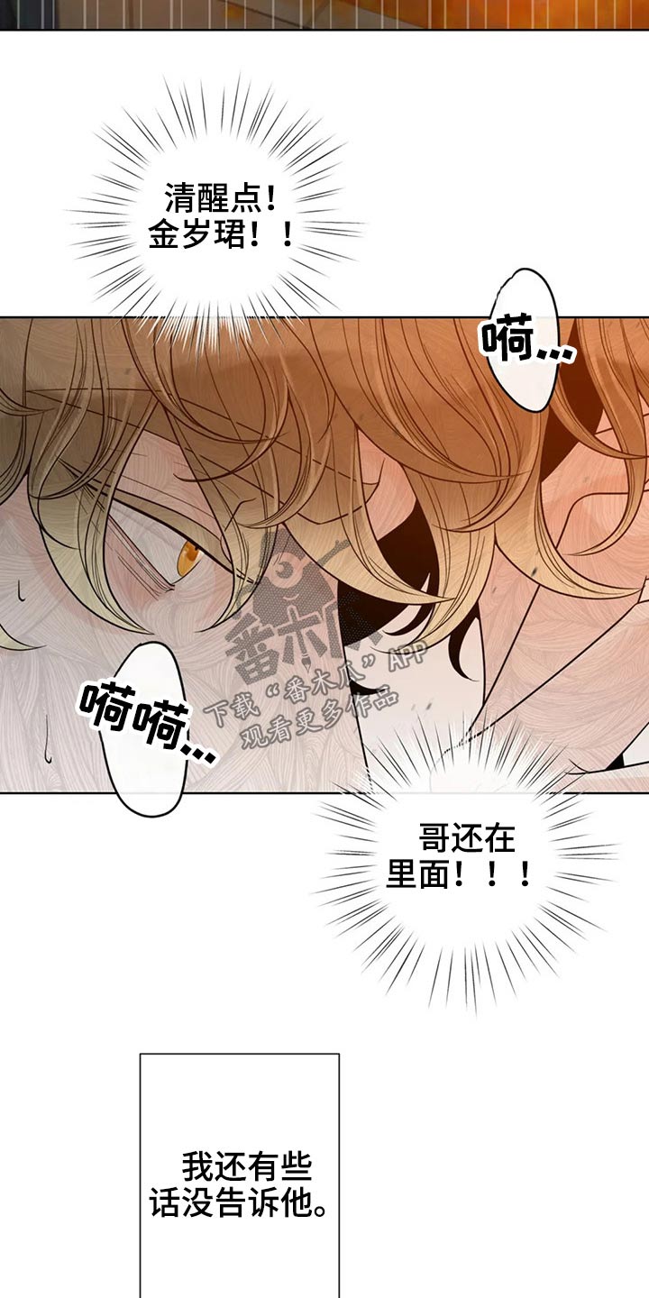 阿尔法伴侣 第124话 第17页