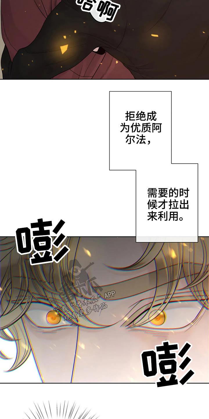 阿尔法伴侣 第123话 第5页