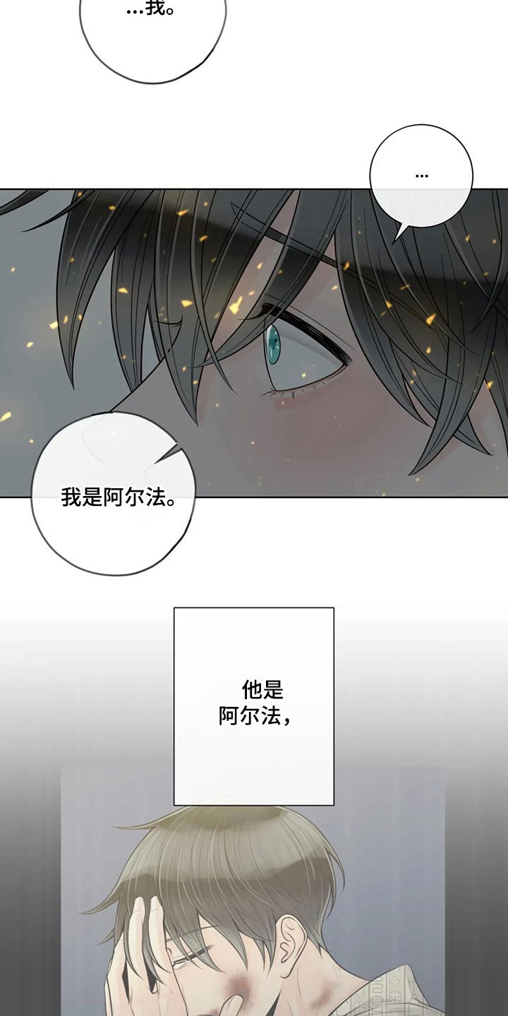 阿尔法伴侣 第118话 第6页