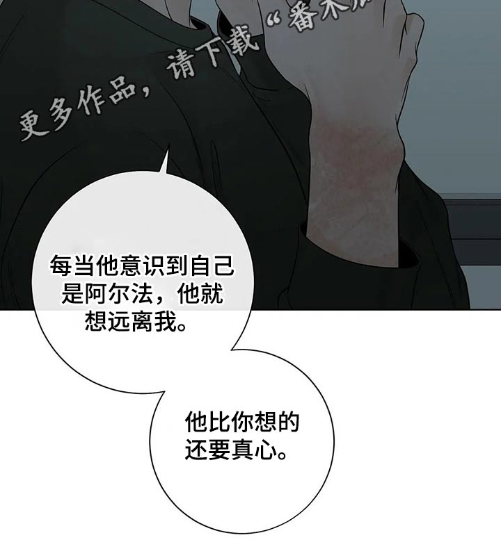 阿尔法伴侣 第113话 第11页