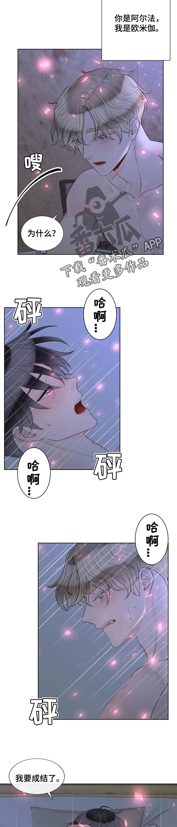 阿尔法伴侣 第88话 第3页