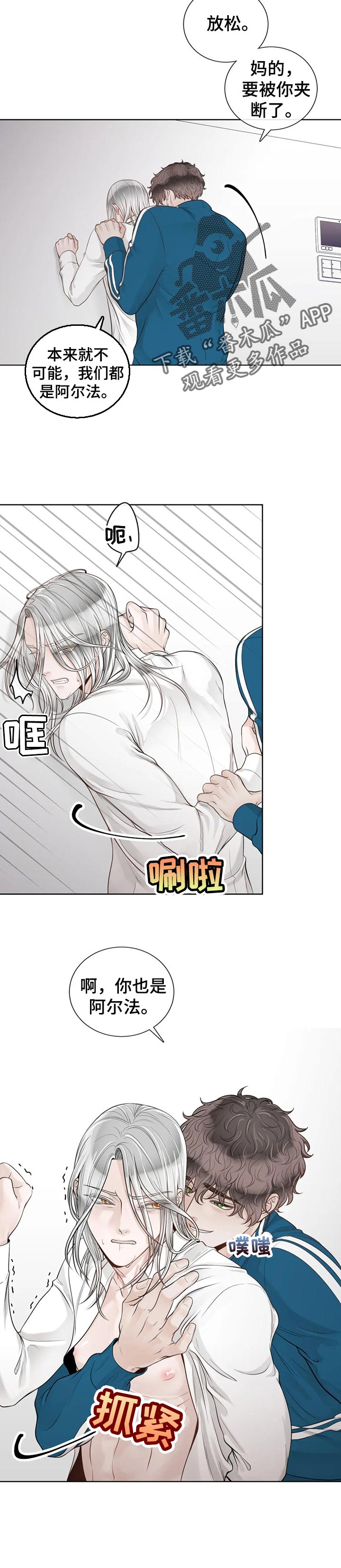 阿尔法伴侣 第78话 第6页