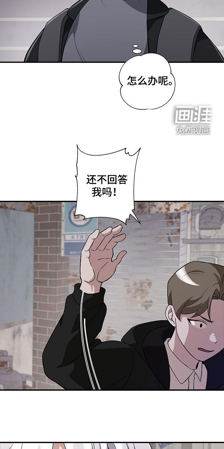 黑芝麻汤圆 第46话 第9页